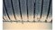 AF205617.tif