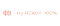 H2 ready 100% logo